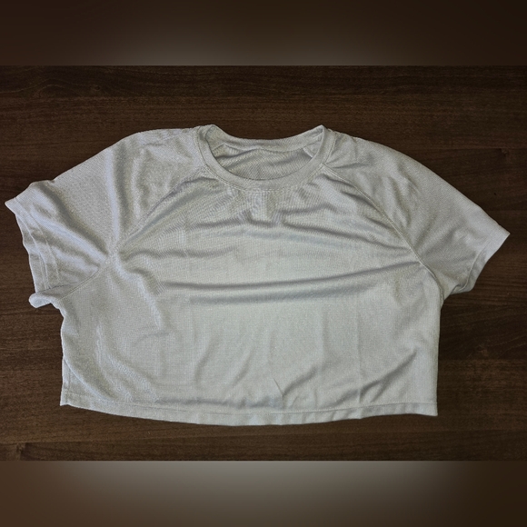 HALARA Tops - Halara Raglan Sleeve Cropped Waffle Tee - L - Frost Clear Haze